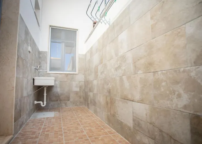 Samara Sx, Pet Friendly