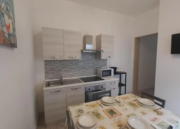 Samara Sx, Pet Friendly